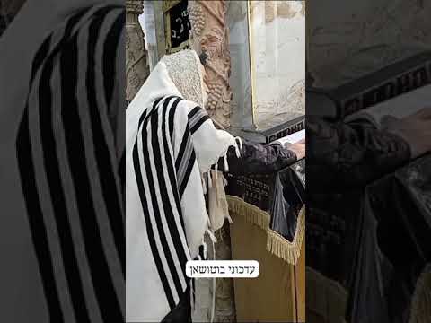 Botoshan Rebbe Leading Hallel Chanukah 5785