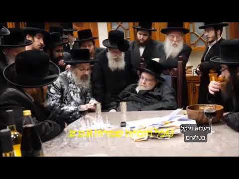 Viznitz London Rebbe Visits Belzer Rebbe