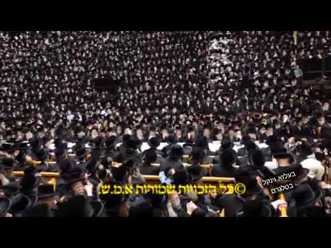 First Night Chanukah 5785 With Belzer Rebbe
