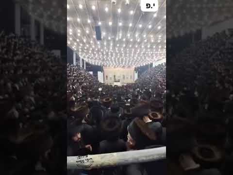 Tataleh Kim Shoin Ahein – Simchas Beis Hashoeiva 5785 In Boyan