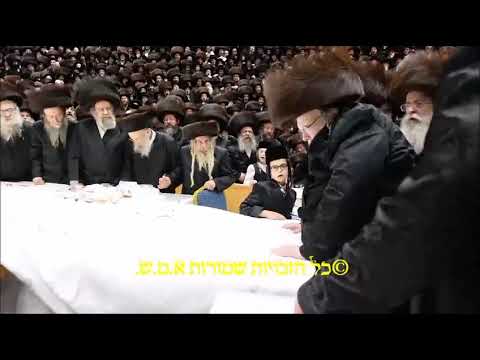 Belzer Rebbe Motzei Yom Kippur 5785