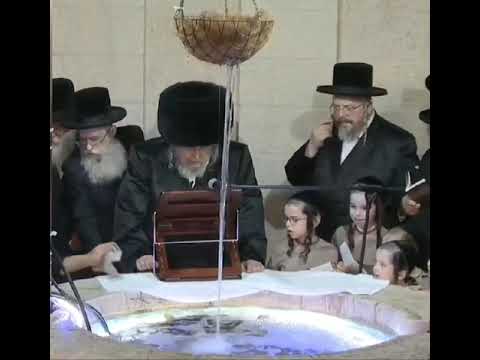 Fish Jumps Out Of The Water During Belzer Rebbe's Tashlich – 5784