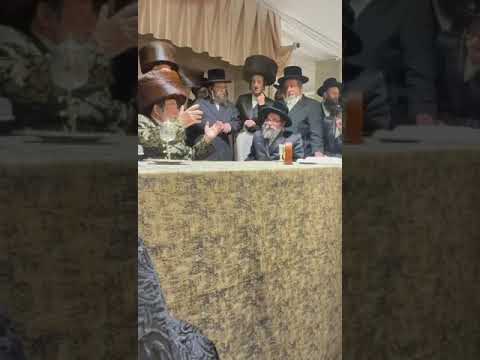 Viznitz and Skulen Rebbes