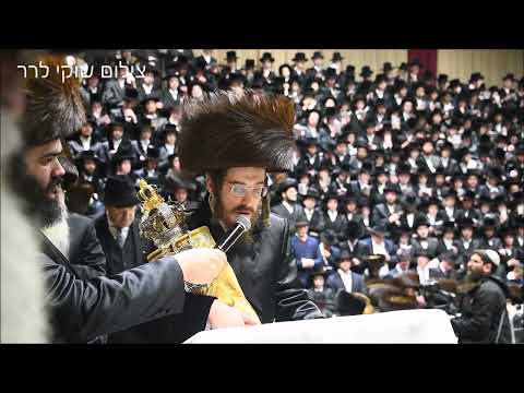 הכנסת ספר תורה לז"נ כ"ק אדמו"ר מסאדיגורה זצ"ל |  Hachnosas Sefer Torah Sadigura 