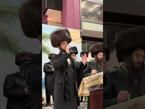 Gershy Israeli – Renewal Shabbaton 2025