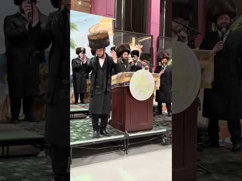 Gershy Israeli – Renewal Shabbaton 2025