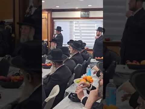 15 Shvat 5785 With Satmar Rebbe R'Zalman Leib