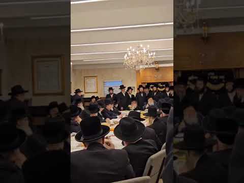 15 Shvat 5785 With Bobover Rebbe