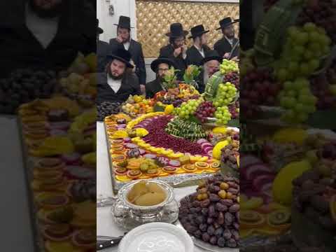 15 Shvat 5785 With Chernovitz Rebbe