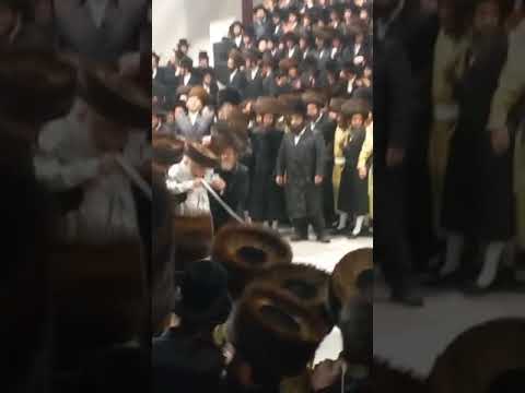 Toldos Avrohom Yitschok Rebbe Dances Mitzvah Tantz At His Einikel's Wedding – Shvat 5785