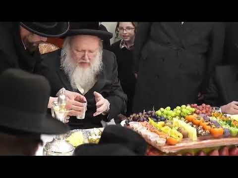 15 Shvat 5785 With Komarna Rebbe