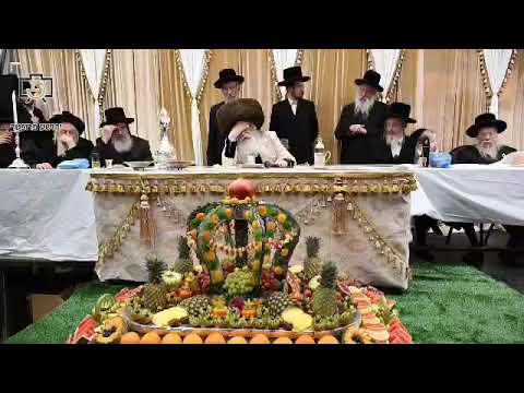 15 Shvat 5785 With Nadvorna Rebbe