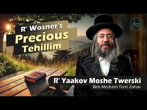 Rav Wosner's Precious Tehillim | Rabbi Yaakov Moshe Twerski