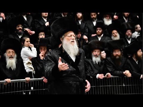 חתונה בבית מאדזיץ – האלמין – גאב"ד קרית צאנז ירושלים | Modzitz – Kiryas Sanz, Jerusalem Wedding