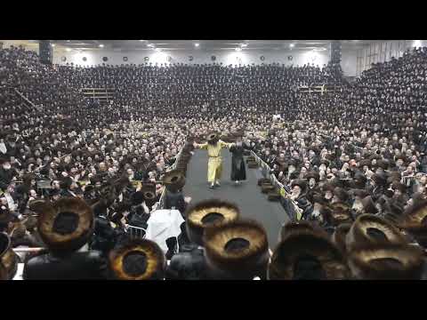 האחים ר' נחמן ור' אלימלך בידרמן בריקודים | Brothers R' Elimelech & Nachmen Biderman Dancing