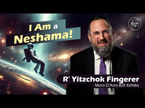 I Am a Neshama! | Rabbi Yitzchok Fingerer