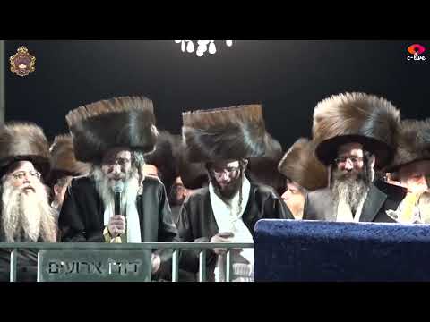 חופה – נכדת האדמו"ר מצאנז עם החתן בן רבי אלימלך בידרמן | R' Elimelech Biderman – Sanz Wedding
