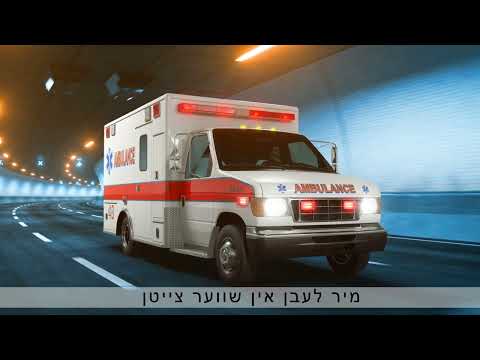 Mordechai’s Kinderlach