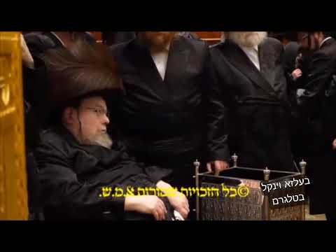 Purim Meshulash In Belz