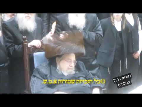 Purim Meshulash In Belz