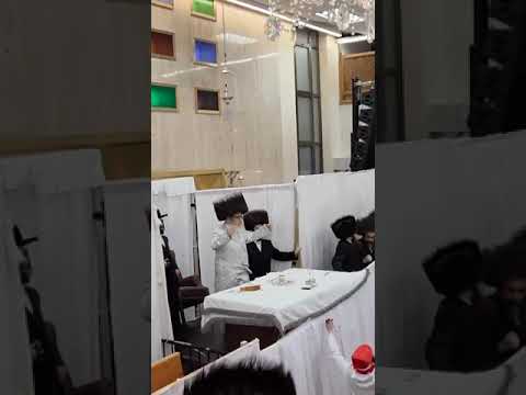 Purim 5785 With Satmar Rebbe R'Zalman Leib