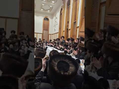 Purim 5785 With Rachmastrivka Rebbe