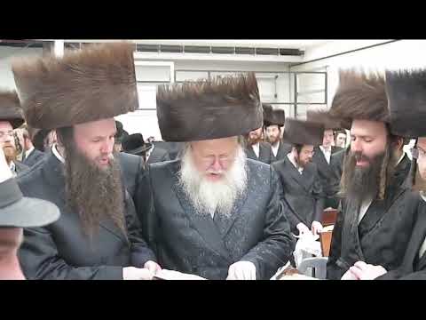 Purim 5785 With Komarna Rebbe