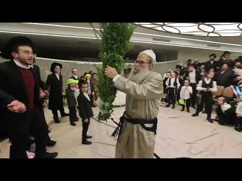 הרב גמליאל רבינוביץ במצווה טאנץ בחתונת נכדתו | Rav Gamliel Rabinowitz Mitzvah Tantz