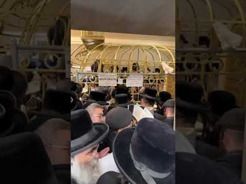 Praying at the Tumb of Rabbi Elimelach of Lizensk – 2025