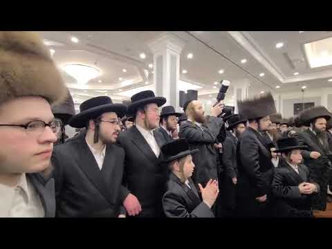 Viznitz Boro Park Rebbe