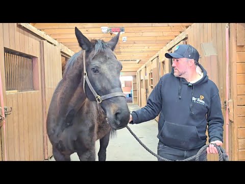 Tour Dr. Suss Stables in Jackson, NJ! Enjoy horse rides & feed the farm animals. Goats sheep & more