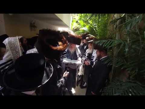 Premishlaner Rebbe Making Birkas Hailonos – Nissan 5785