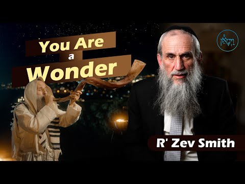 You Are a Wonder | Rabbi Zev Smith