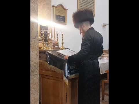 Sadigura Rebbe Counting Sefira in Antwerp Chol Hamoed Pesach 5785