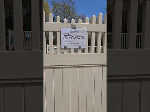 Birchas Elunos 2 Trees: A Fig & a Peach Tree, Address: 1216 Royal Sire Court, Toms River, NJ 08755