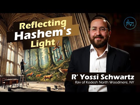 Reflecting Hashem's Light | Rabbi Yossi Schwartz