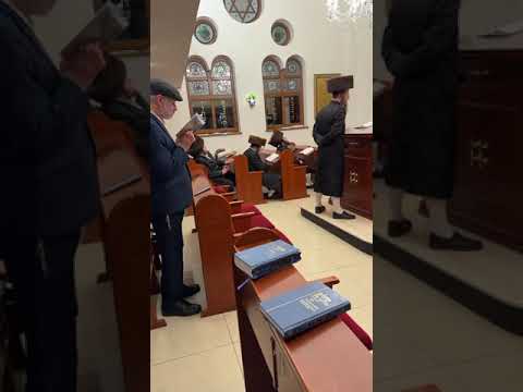 Alesk Rebbe Davening In Ungvar Chabad House – Cheshvan 5785