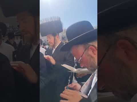 Bitchkov Rebbe Davens At The Kosel Chol Hamoed Pesach 5785