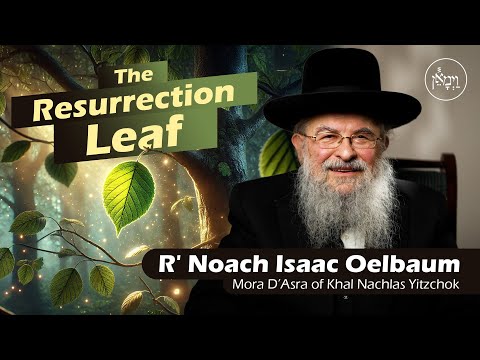The Resurrection Leaf | Rabbi Noach Isaac Oelbaum